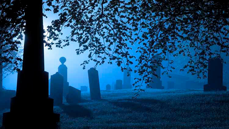 a graveyard